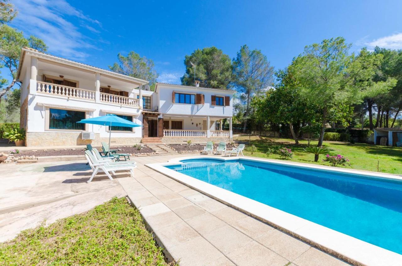 Your House Marques Willa *